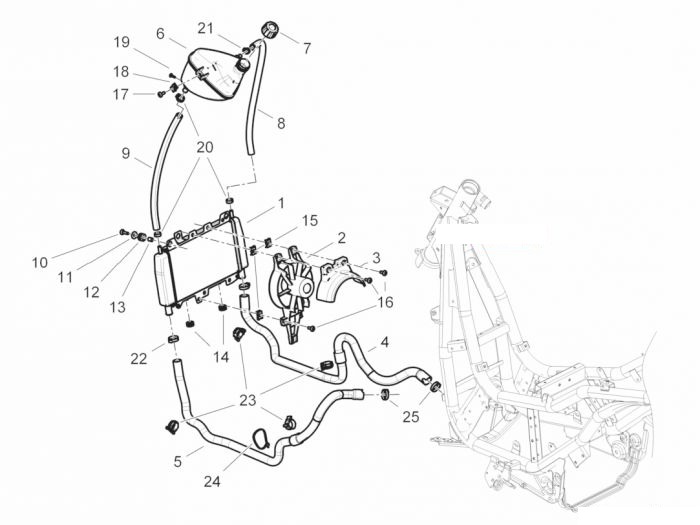 Piaggio Kühlunganlage beverly 350