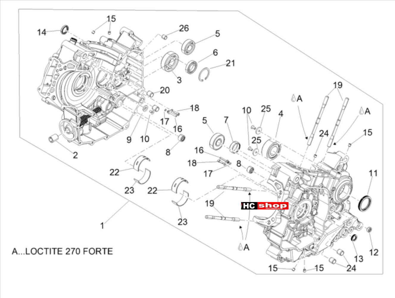 Aprilia Dorsoduro 900 E4 ABS Motor Gehäuse II – Haltestein D6