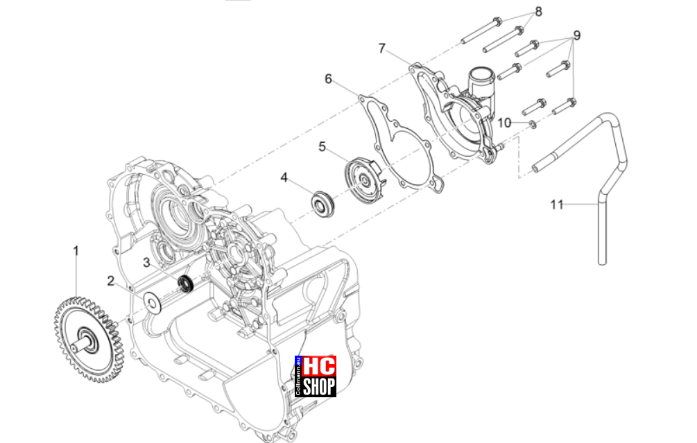 Moto Guzzi Stelvio E5+ - Motor - Wasserpumpe