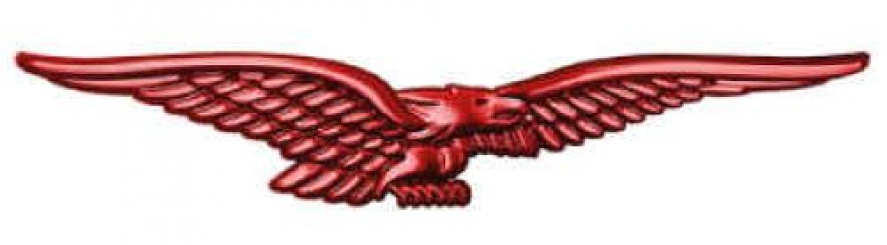 2 - Targhetta "aquila" DX