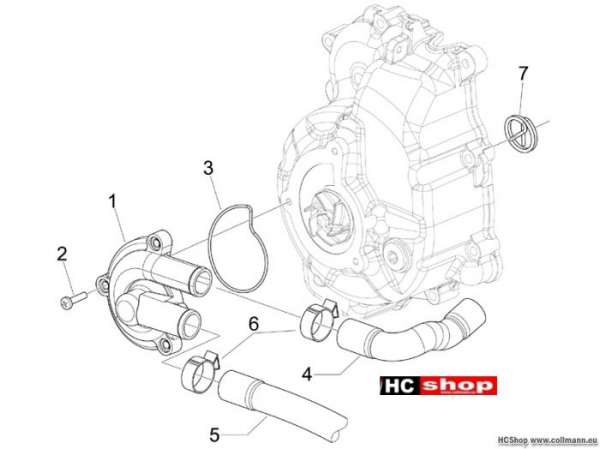 Piaggio Wasserpumpe X9 250