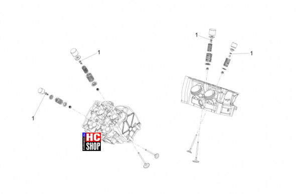Aprilia Tuono V4 Factory 1100 E5+ - Motor - Belag