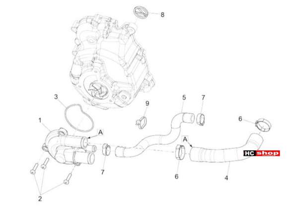 Vespa GTV 300 SEI GIORNI Motor Wasserpumpe