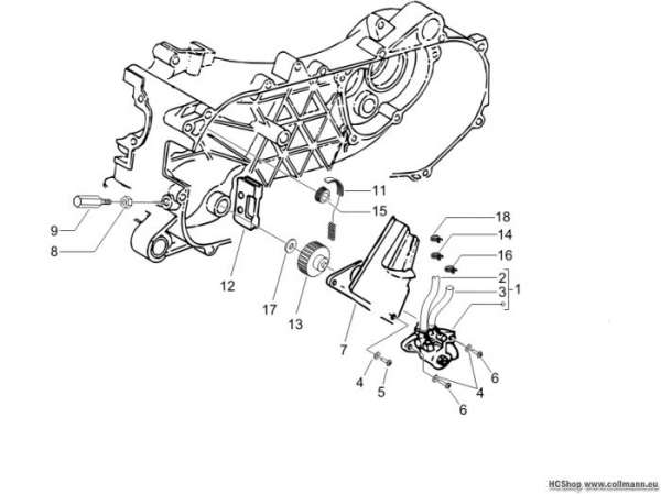 Vespa Ölpumpe LX 50 2T