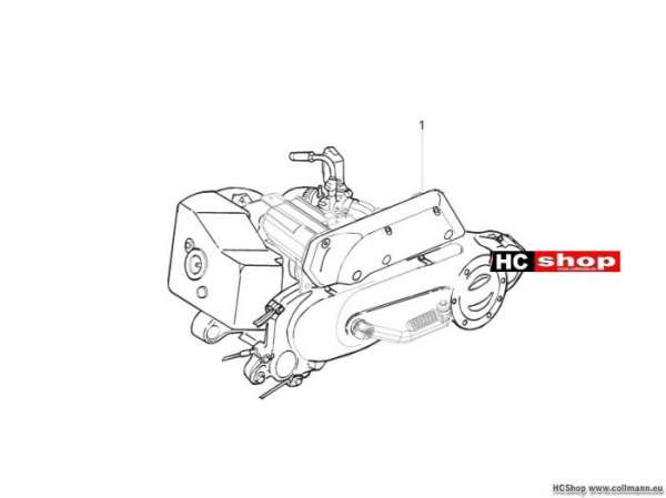 Piaggio Motor, komplett TPH 50