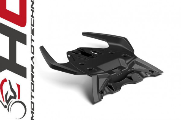 Aprilia RS 457 Soziushaltegriff