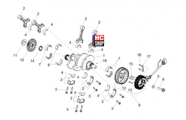 Aprilia Tuono V4 Factory 1100 E5+ - Motor - Kurbelwelle