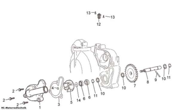 Aprilia Wasserpumpenritzel RS 50