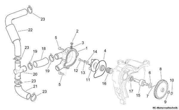 Aprilia Wasserpumpenritzel RS 250