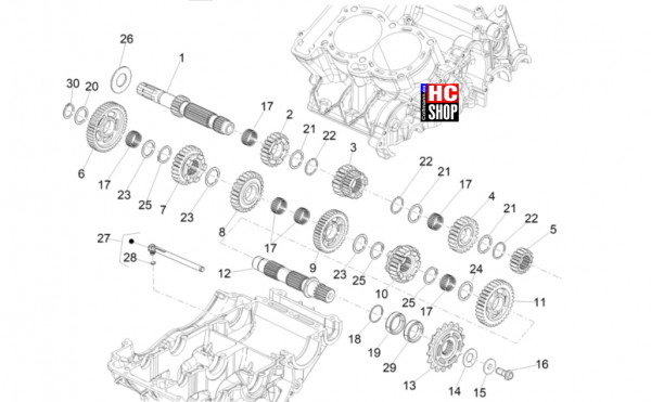 Aprilia RS 660 Factory E5+ - Motor - Schaltgetriebe-Zahnräder
