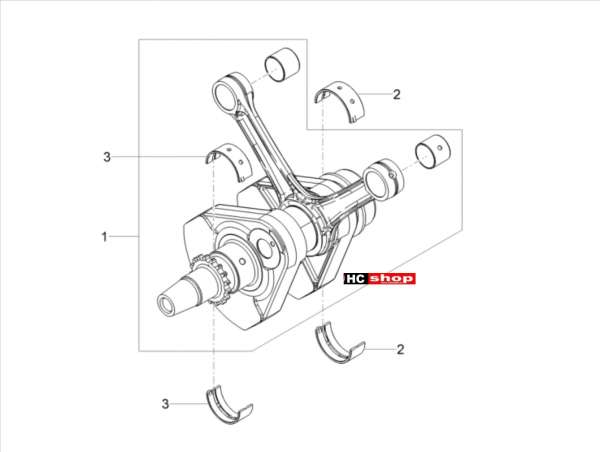 Moto Guzzi V7 III Rough 750 ABS E4 - Motor Kurbelwelle