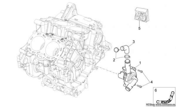 Aprilia Wasserpumpe Tuono 1000 V4 R STD/APRC