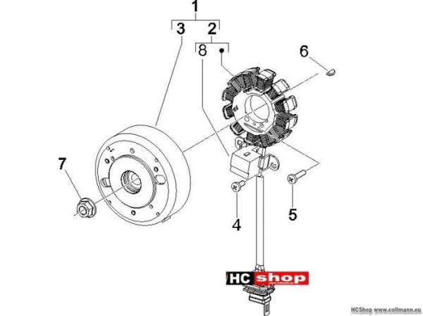 Piaggio Lichtmaschine NRG 50 Purejet