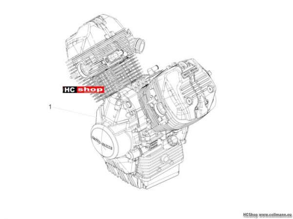 Moto Guzzi V9 Roamer Motor-Fertigstellung