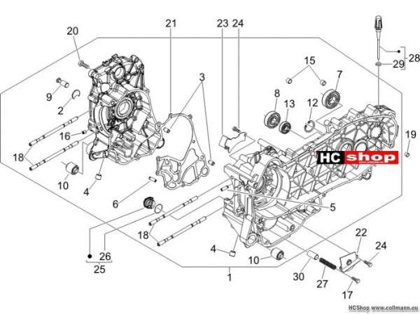 Gilera Kurbelwellengehäuse Nexus 250