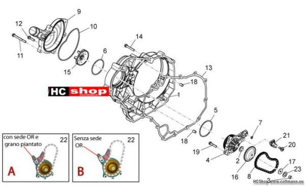 Aprilia Wasserpumpenritzel II Dorsoduro 750