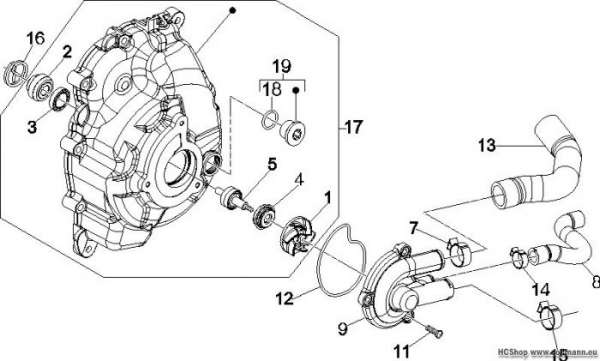 Vespa Wasserpumpe GTS 250