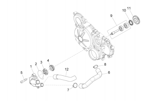 Aprilia Motor Wasserpumpenritzel RS 125 ABS