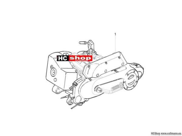 Piaggio Motor, komplett TPH 50