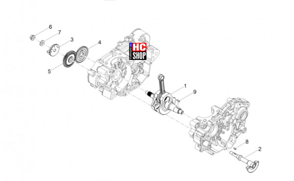 Aprilia Tuono 125 E5+ - Motor - Kurbelwelle