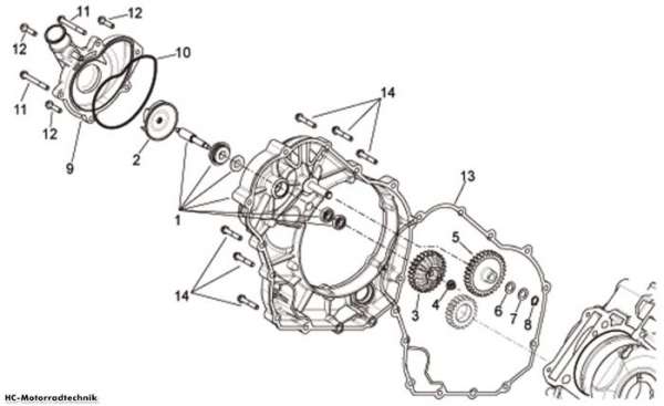 Aprilia Wasserpumpenritzel Dorsoduro 750 Factory
