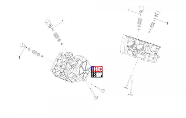 Aprilia RSV4 1100 Factory E5 - Motor - Belag