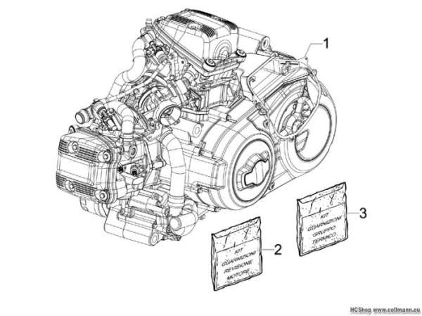 Gilera Motor, komplett GP 800