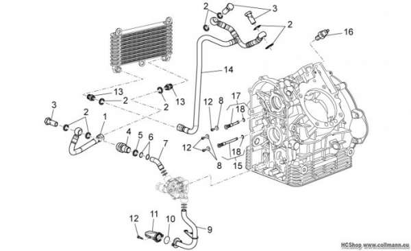 Moto Guzzi Schmierung Griso V 8V 1200
