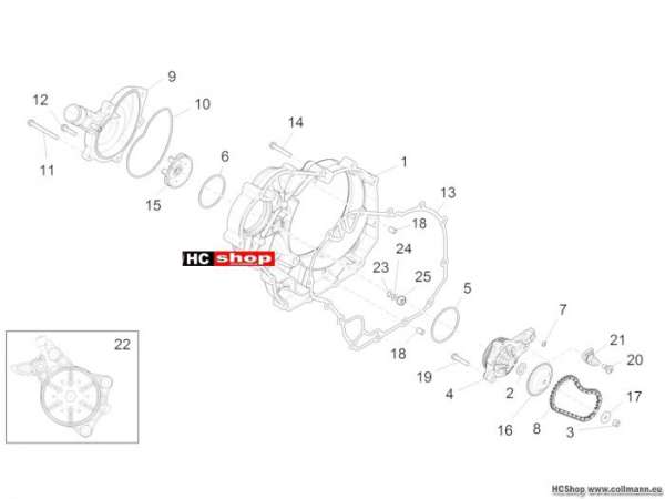 Aprilia Wasserpumpenritzel Capo Nord 1200