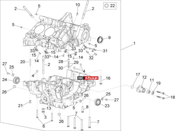 Aprilia RSV 4 1000 RF E4 ABS Motor Gehäuse I
