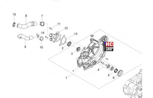 Aprilia RS 125 E5+ - Motor - Wasserpumpe