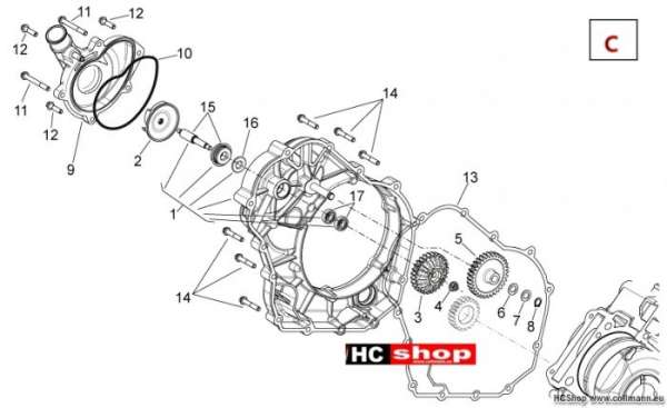 Aprilia Wasserpumpenritzel I Shiver 750