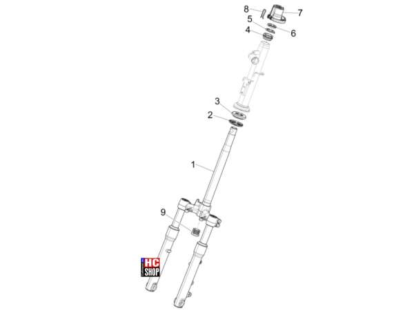 Piaggio Liberty 50 IGET E5 Radaufhängungen Gabel - Lenkerleitung - Steuersatz