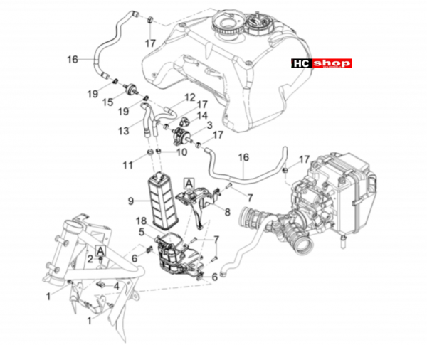 Moto Guzzi V85 TT E5 Tank Benzindampfrückf.-Anlage