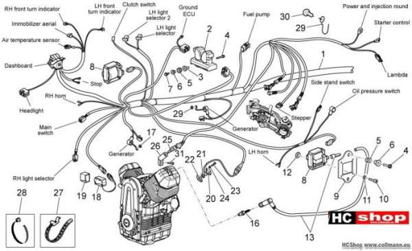 Moto Guzzi Griso 8V Elektrische anlage I
