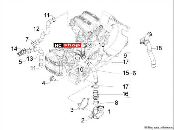 Aprilia Wasserpumpe SRV 850