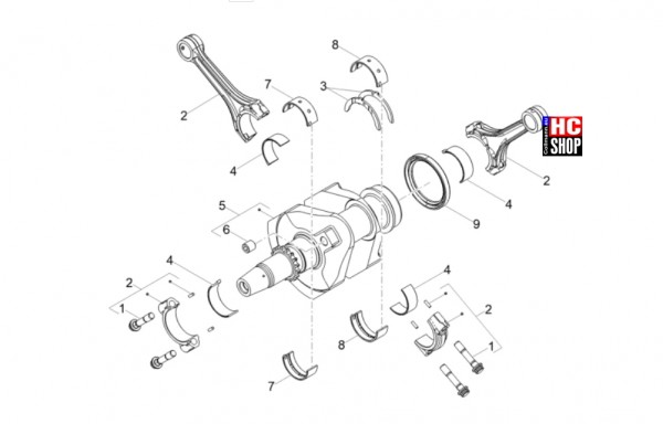 Moto Guzzi V85 TT E5 - Motor - Kurbelwelle