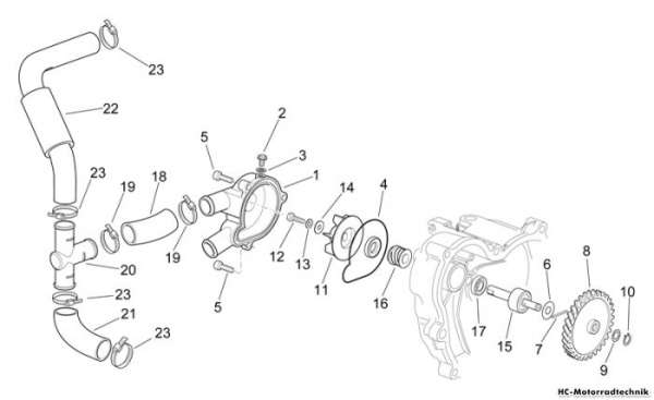 Aprilia Wasserpumpenritzel RS 250