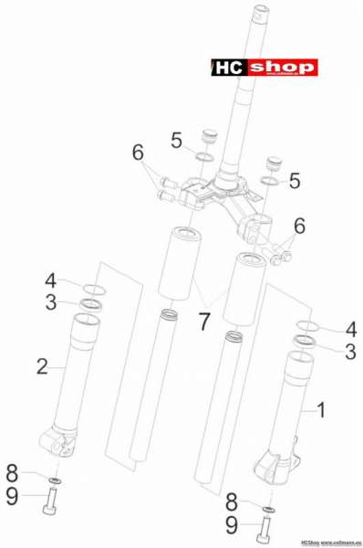 Piaggio Liberty 50 Gabelkomponenten (Wuxi Top)