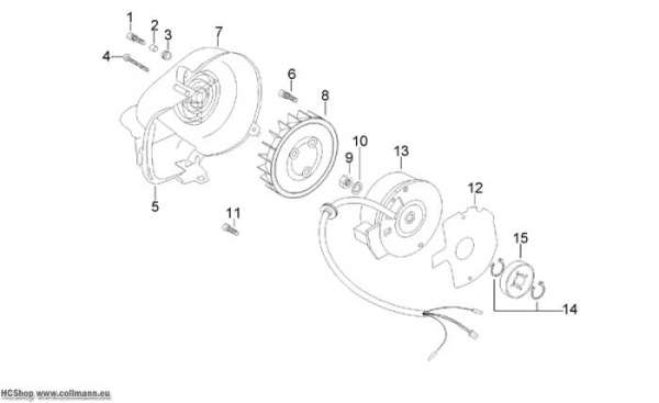 Aprilia Schwungrad Scarabeo 2T (eng. Minarelli) 50