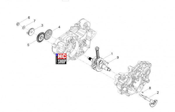 Aprilia RS 125 E5+ - Motor - Kurbelwelle