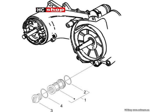 Piaggio Zip 50 4T Schwungraddeckel