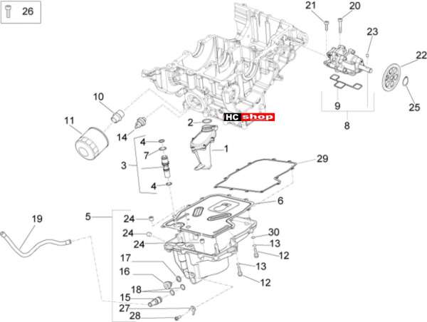 Aprilia RSV 4 1000 RF E4 ABS Motor Schmierung