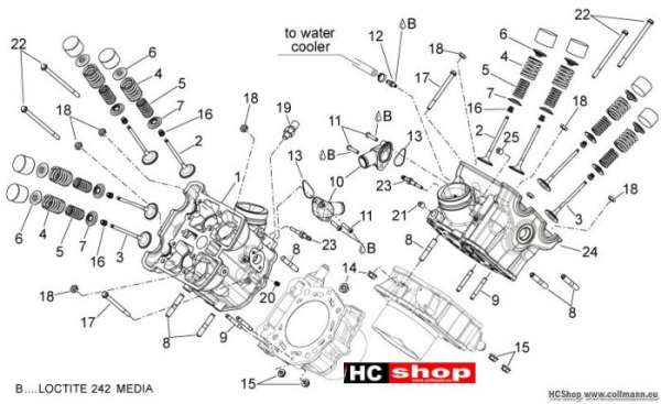 Aprilia Zylinderkopf - Ventile Dorsoduro 750