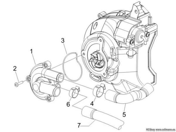 Piaggio Wasserpumpe X Evo 125