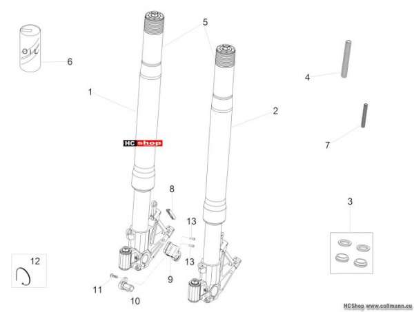 Aprilia RSV4 RR Race Pack Vorderradgabel Ohlins